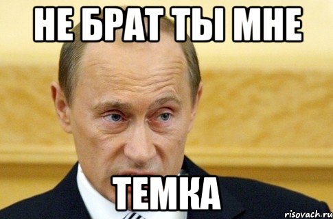 Не брат ты мне Темка, Мем путин