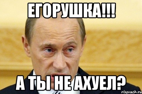 Егорушка!!! А ты не ахуел?, Мем путин