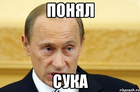 ПОНЯЛ СУКА, Мем путин