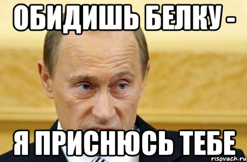 ОБИДИШЬ БЕЛКУ - Я ПРИСНЮСЬ ТЕБЕ, Мем путин