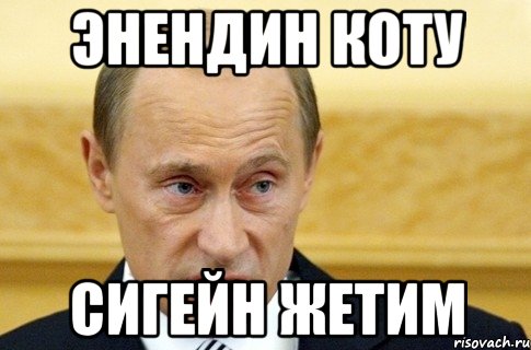 Энендин коту Сигейн жетим, Мем путин