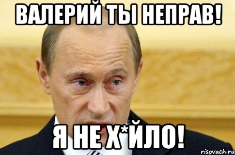 Валерий ты неправ! Я не Х*йло!, Мем путин