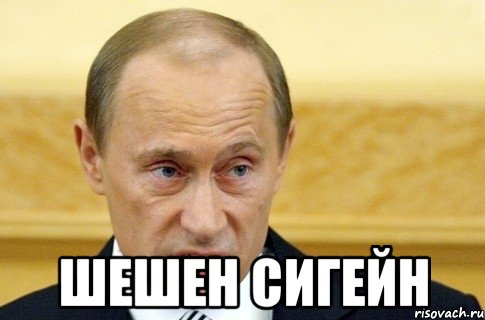  Шешен сигейн, Мем путин