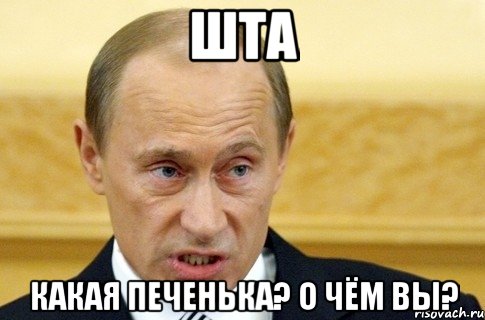 ШТА Какая печенька? О чём вы?, Мем путин