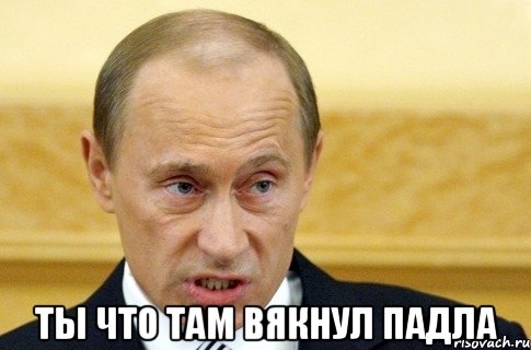  ТЫ ЧТО ТАМ ВЯКНУЛ ПАДЛА, Мем путин