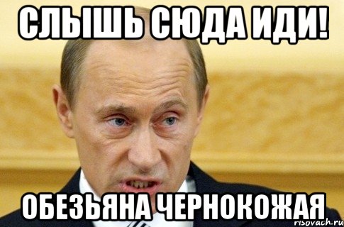 СЛЫШЬ СЮДА ИДИ! ОБЕЗЬЯНА ЧЕРНОКОЖАЯ, Мем путин