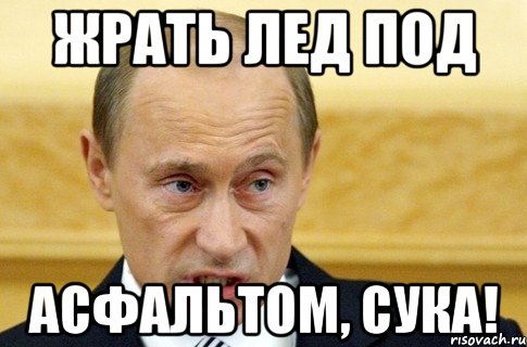 Жрать лед под Асфальтом, сука!, Мем путин