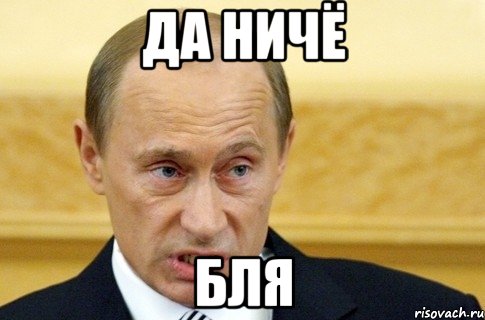 ДА НИЧЁ БЛЯ, Мем путин