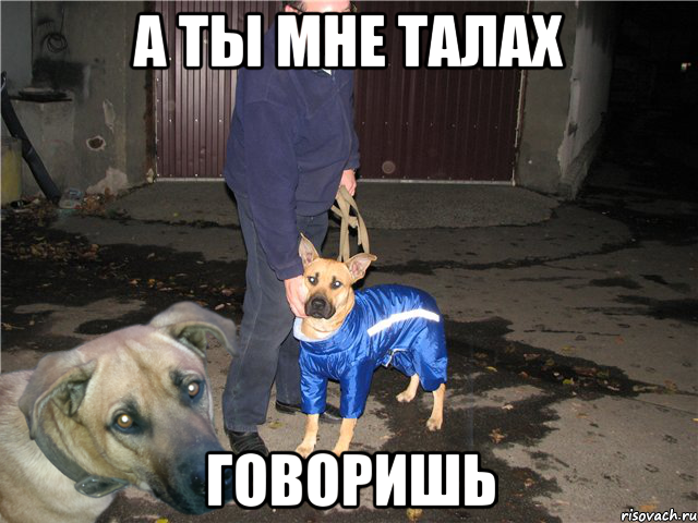 а ты мне талах говоришь