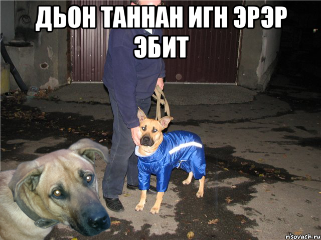 дьон таннан игн эрэр эбит 