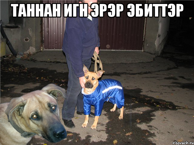 таннан игн эрэр эбиттэр 