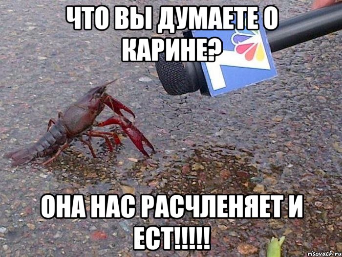 Что вы думаете о Карине? Она нас расчленяет и ест!!!!!