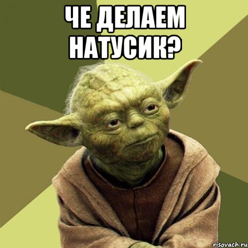 Че делаем Натусик? 