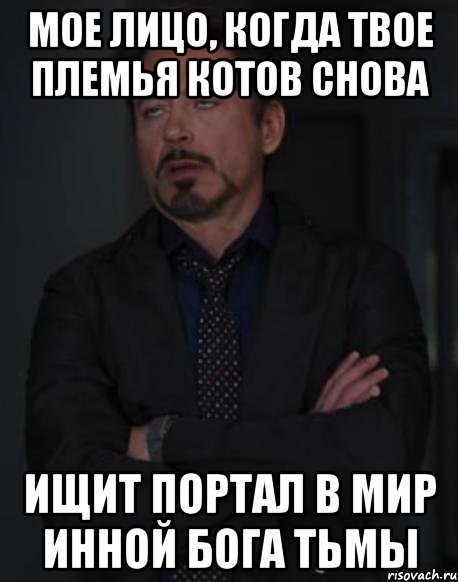 Мое лицо, когда твое племья котов снова Ищит портал в мир инной Бога тьмы, Мем твое выражение лица
