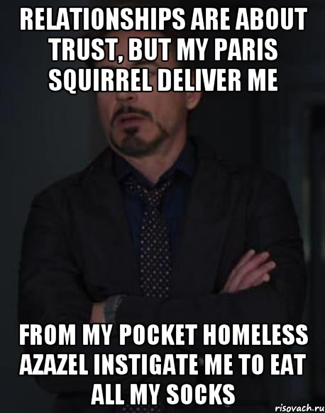 Relationships are about trust, but my Paris squirrel deliver me From my pocket homeless Azazel instigate me to eat all my socks, Мем твое выражение лица