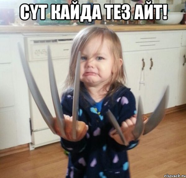 СYТ КАЙДА ТЕЗ АЙТ! , Мем Росомаха