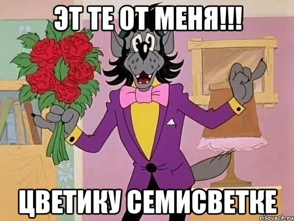 Эт те от меня!!! цветику семисветке