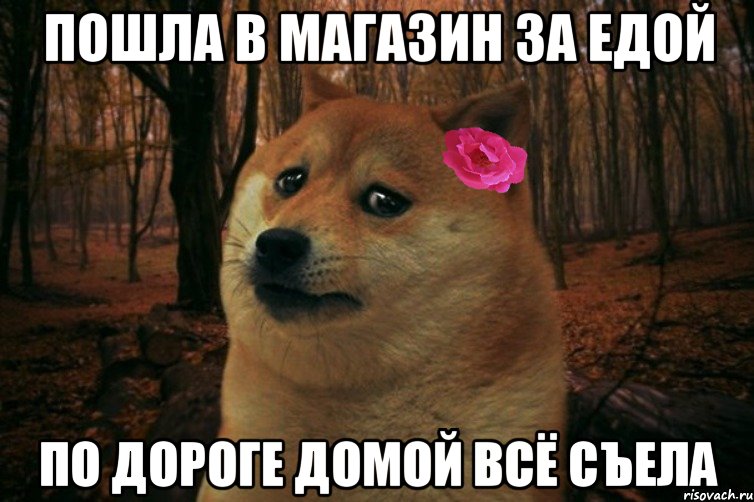 Пошла в магазин за едой По дороге домой всё съела, Мем  SAD DOGE GIRL