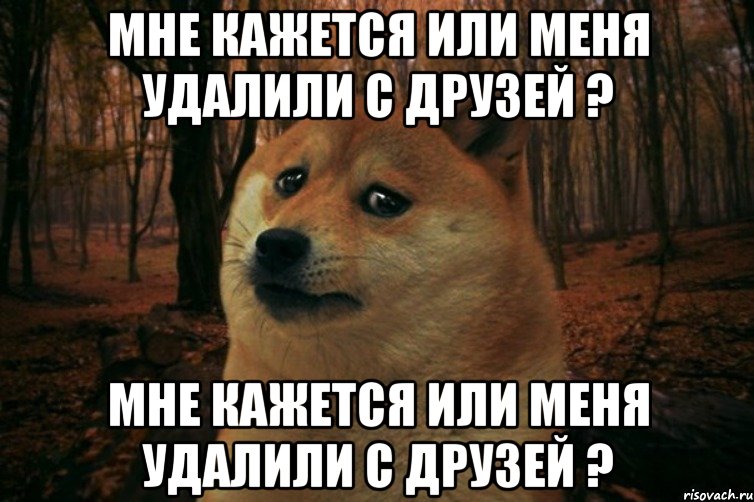 мне кажется или меня удалили с друзей ? мне кажется или меня удалили с друзей ?, Мем SAD DOGE