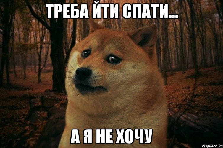 треба йти спати... А я не хочу, Мем SAD DOGE