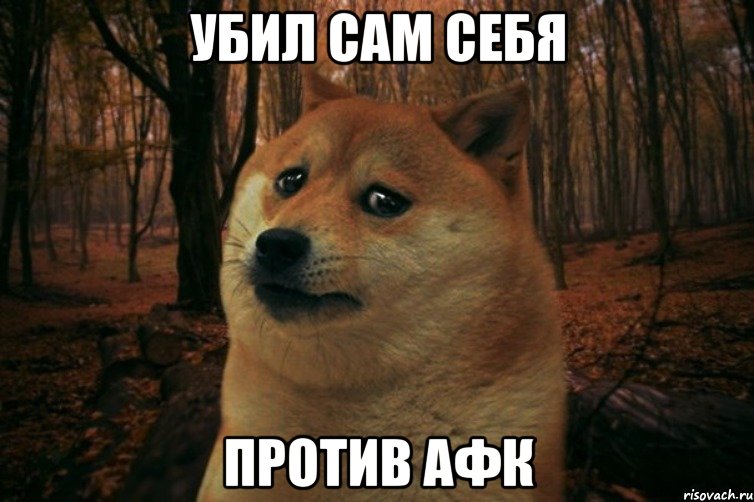 УБИЛ САМ СЕБЯ ПРОТИВ АФК, Мем SAD DOGE