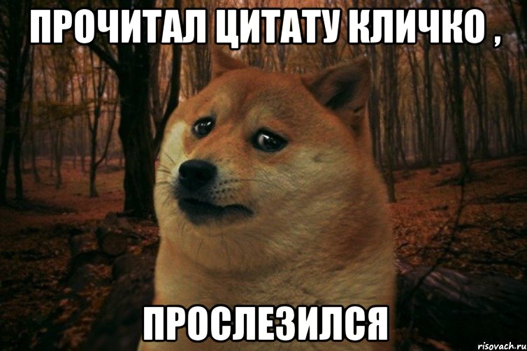 Прочитал цитату Кличко , прослезился, Мем SAD DOGE