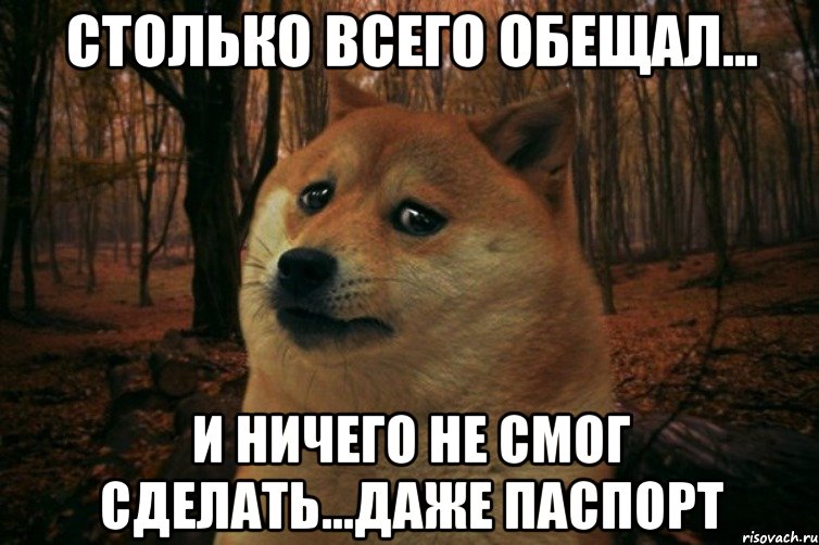 СТОЛЬКО ВСЕГО ОБЕЩАЛ... И НИЧЕГО НЕ СМОГ СДЕЛАТЬ...ДАЖЕ ПАСПОРТ, Мем SAD DOGE