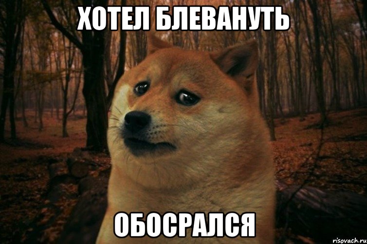 Хотел блевануть обосрался, Мем SAD DOGE