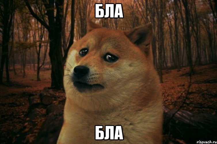 бла бла, Мем SAD DOGE