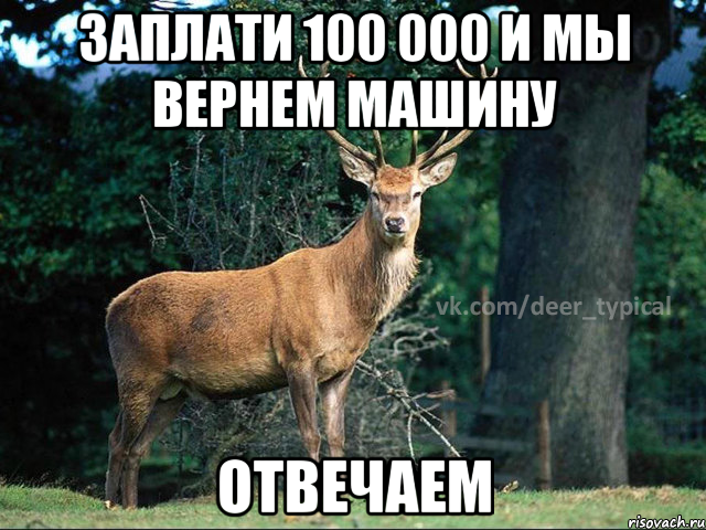 Заплати 100 000 и мы вернем машину Отвечаем, Мем Паблик Типичный олень