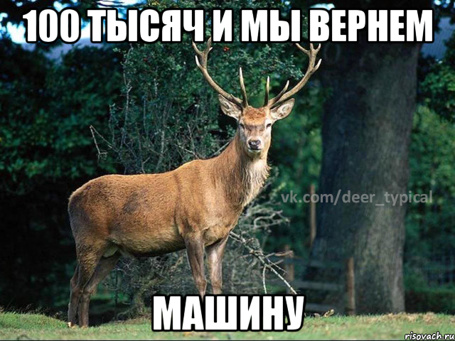 100 тысяч и мы вернем Машину