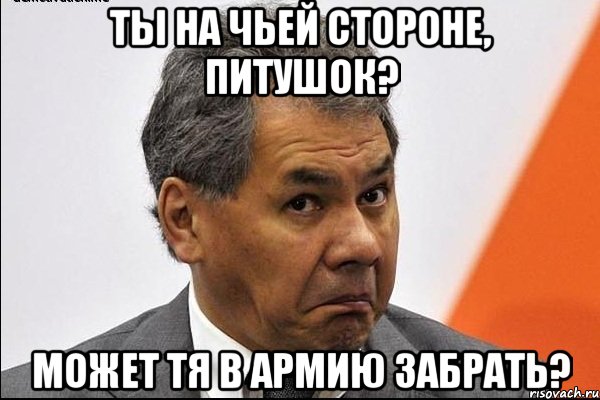 Ты на чьей стороне, питушок? Может тя в армию забрать?
