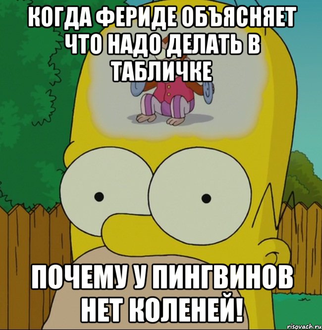 Когда Фериде объясняет что надо делать в табличке Почему у пингвинов нет коленей!