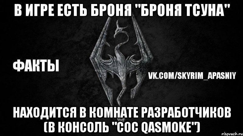 В игре есть Броня "Броня Тсуна" находится в комнате разработчиков (в консоль "coc qasmoke"), Мем Скайрим