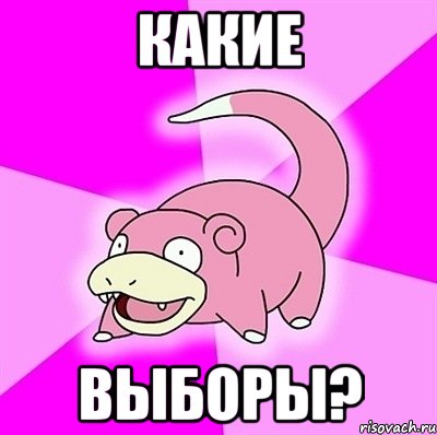 КАКИЕ ВЫБОРЫ?, Мем слоупок