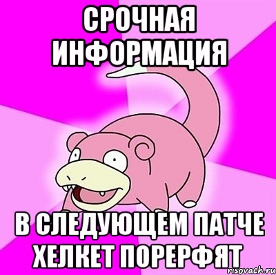 Срочная информация В следующем патче хелкет порерфят, Мем слоупок