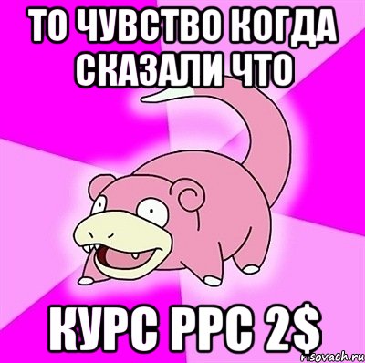 То чувство когда сказали что Курс PPC 2$, Мем слоупок