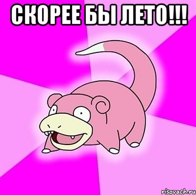 Скорее бы лето!!! , Мем слоупок