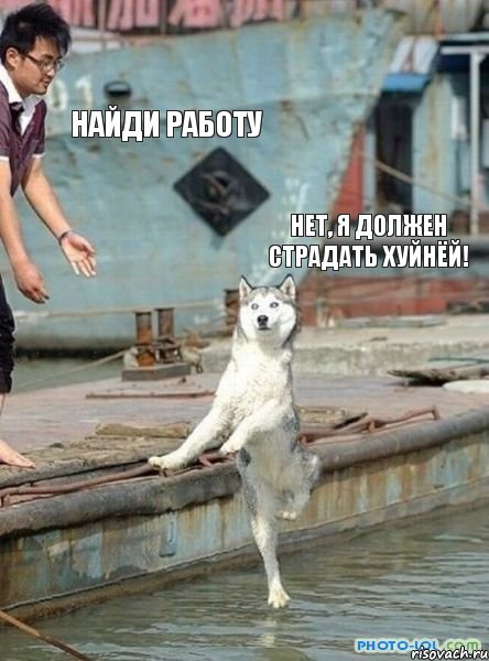 найди работу нет, я должен страдать хуйнёй!