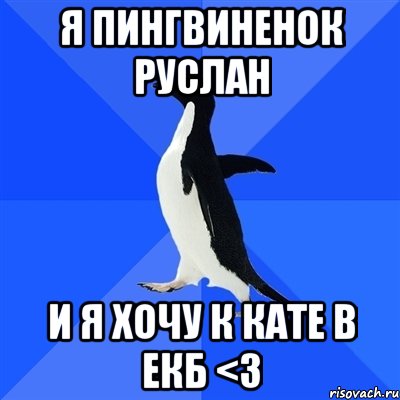 Я пингвиненок Руслан И я хочу к Кате в Екб <3, Мем  Социально-неуклюжий пингвин