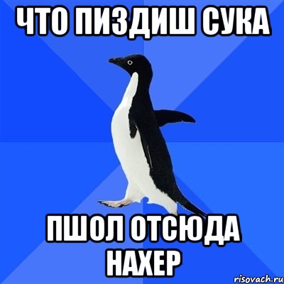 что пиздиш сука Пшол отсюда нахер, Мем  Социально-неуклюжий пингвин