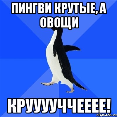 ПИНГВИ КРУТЫЕ, А ОВОЩИ КРУУУУЧЧЕЕЕЕ!, Мем  Социально-неуклюжий пингвин