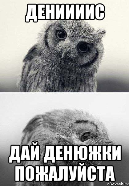 Дениииис Дай денюжки пожалуйста