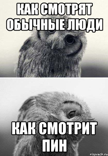 Как смотрят обычные люди как смотрит Пин