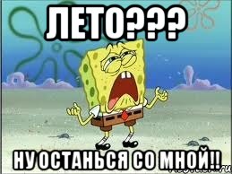 ЛЕТО??? НУ ОСТАНЬСЯ СО МНОЙ!!, Мем Спанч Боб плачет