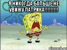 Я никогда больше НЕ УВИЖУ Патрика!!!!!!!!! , Мем Спанч Боб плачет