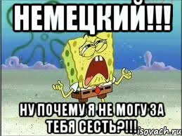 Немецкий!!! Ну почему я не могу за тебя сесть?!!!, Мем Спанч Боб плачет