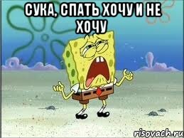 сука, спать хочу и не хочу , Мем Спанч Боб плачет