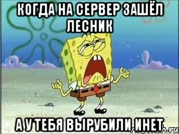 когда на сервер зашёл лесник а у тебя вырубили инет, Мем Спанч Боб плачет