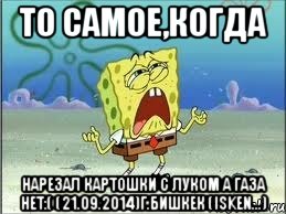 ТО САМОЕ,КОГДА НАРЕЗАЛ КАРТОШКИ С ЛУКОМ А ГАЗА НЕТ:( (21.09.2014)г.Бишкек (Isken...), Мем Спанч Боб плачет